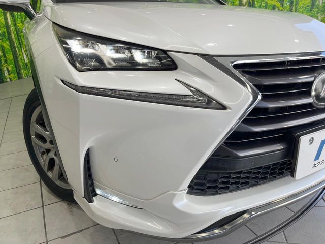 Lexus NX 12