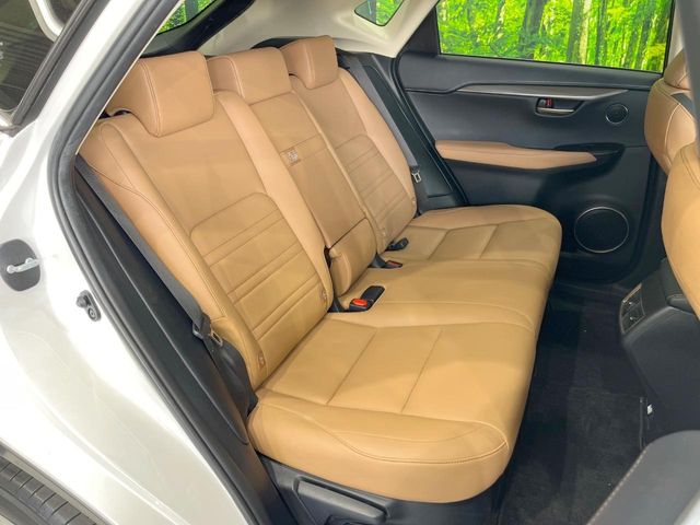 Lexus NX 9