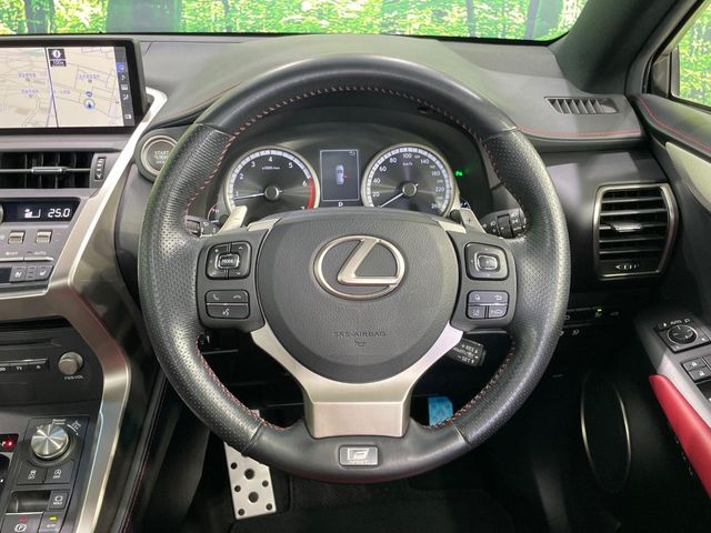 Lexus NX 11