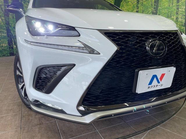 Lexus NX 12