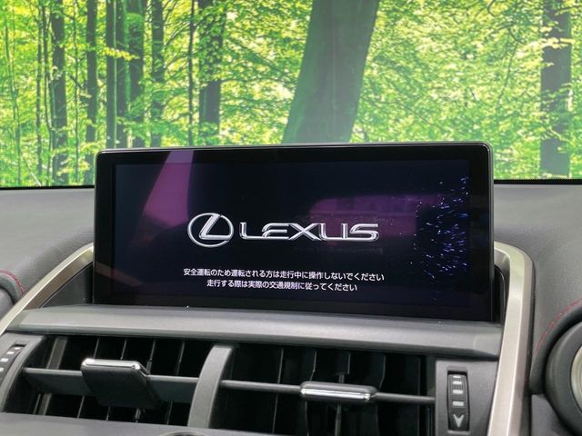 Lexus NX 4