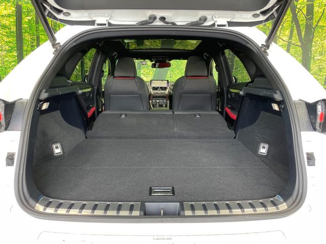 Lexus NX 10