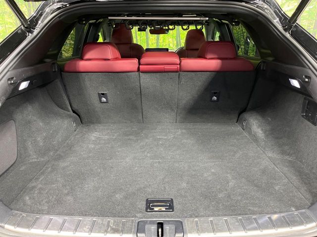 Lexus RX 11