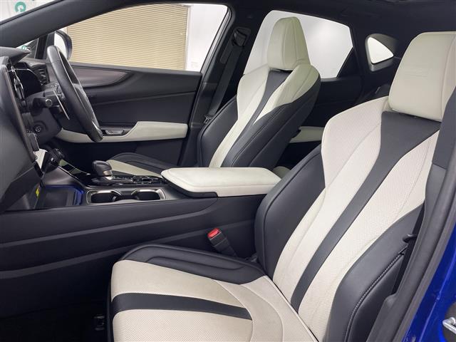 Lexus NX 12