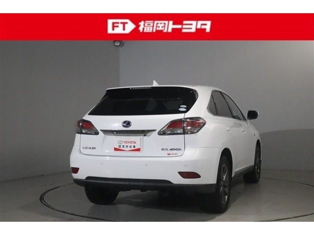 Lexus RX Hybrid 6