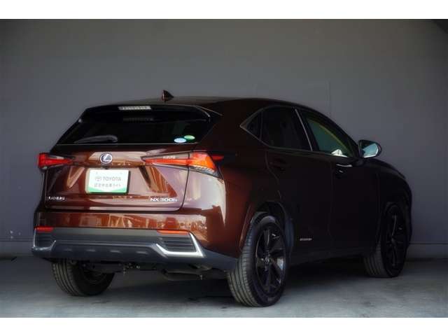 Lexus NX 2