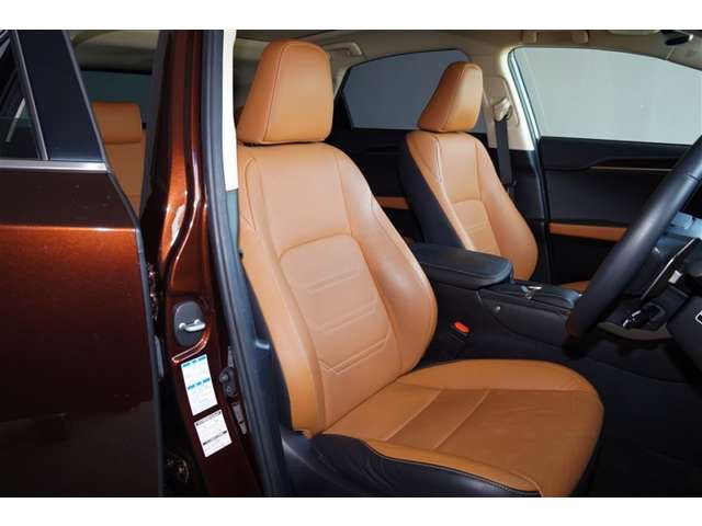 Lexus NX 4