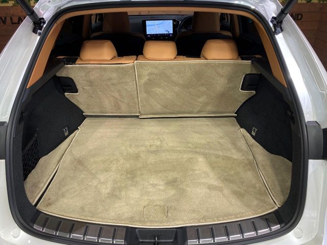 Lexus NX 11