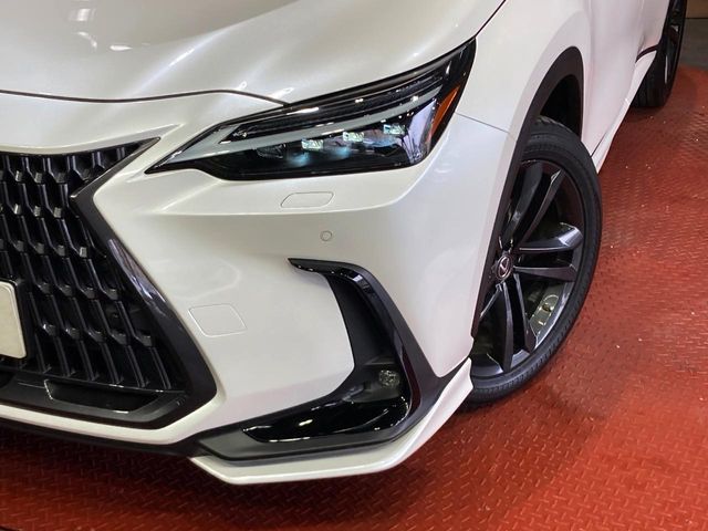 Lexus NX 12