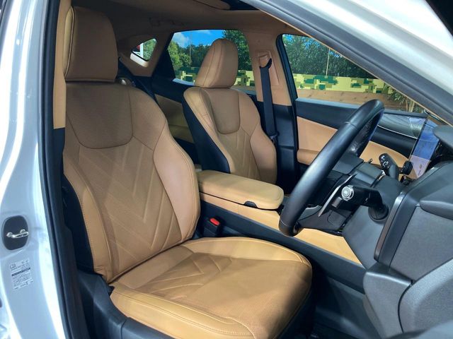 Lexus NX 8