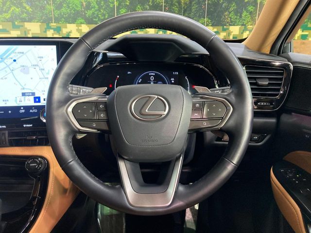 Lexus NX 10