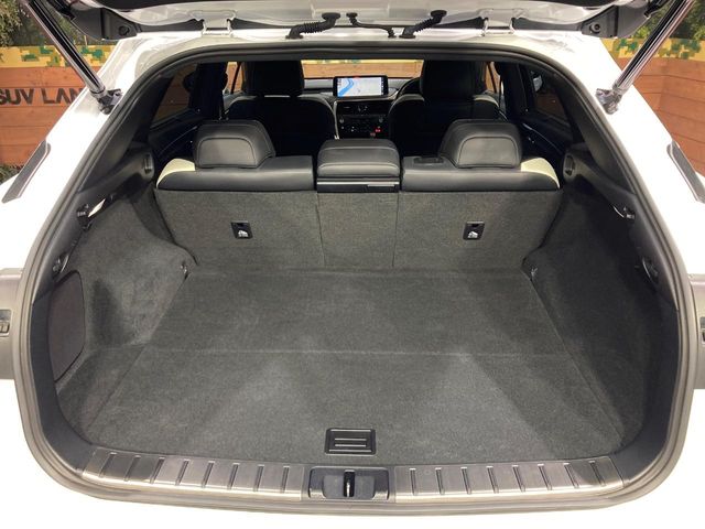 Lexus RX 11