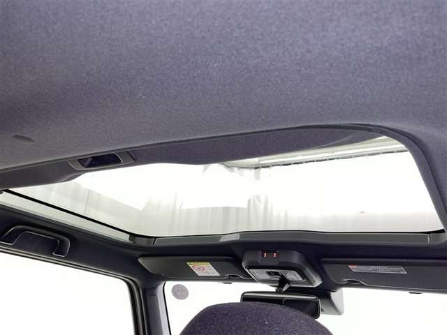 Daihatsu Taft 11