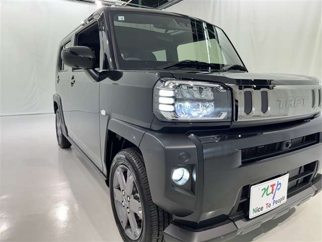 Daihatsu Taft 8