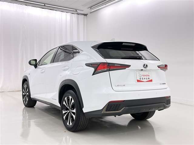 Lexus NX 6