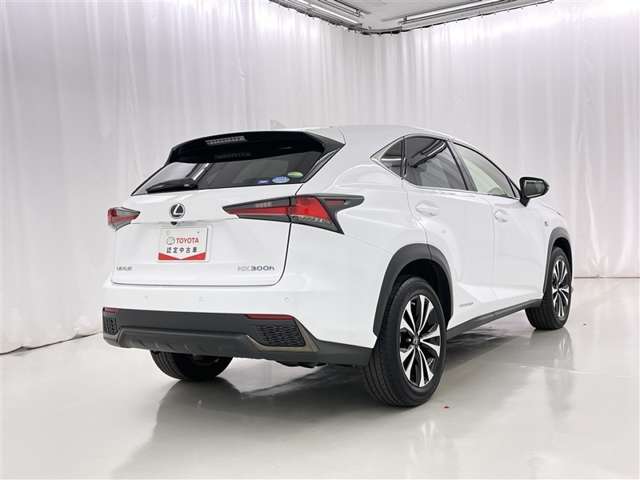 Lexus NX 7