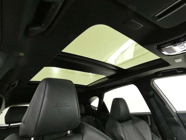 Lexus NX 4