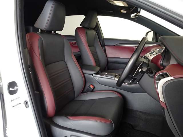 Lexus NX 4