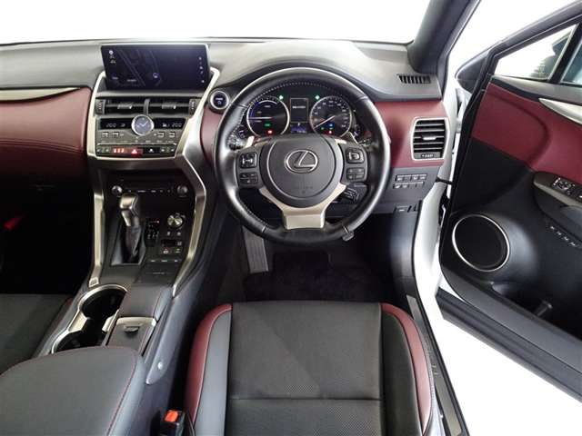 Lexus NX 5