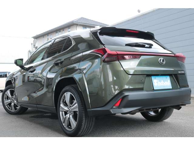 Lexus UX 8