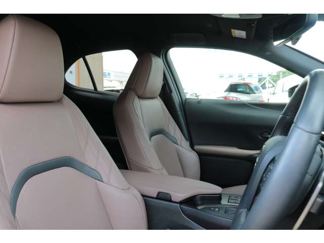 Lexus UX 9