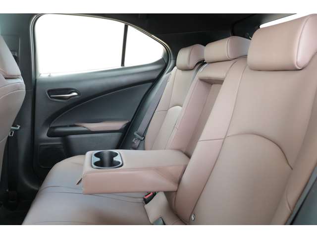 Lexus UX 10