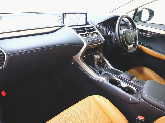 Lexus NX 12