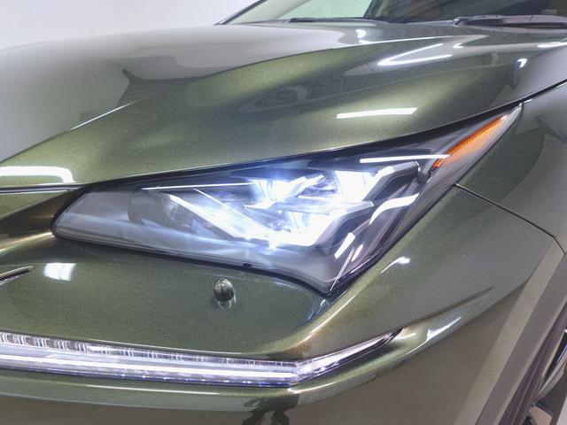 Lexus NX 4