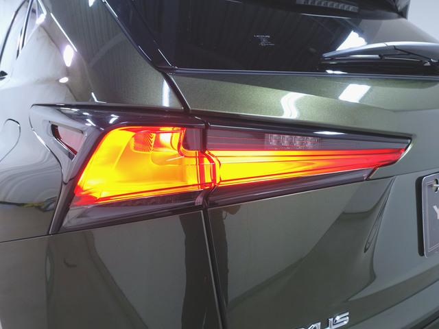 Lexus NX 6