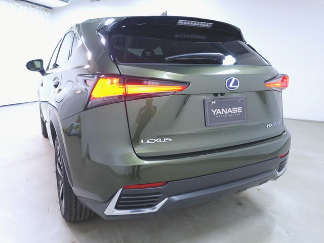 Lexus NX 7