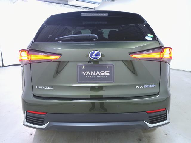 Lexus NX 8