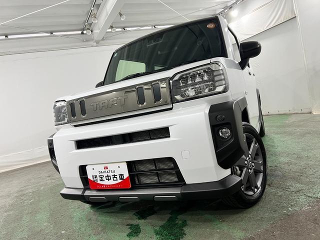 Daihatsu Taft 7