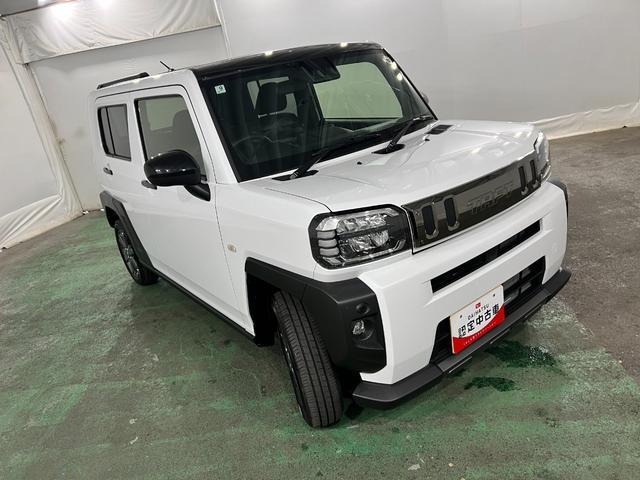 Daihatsu Taft 9