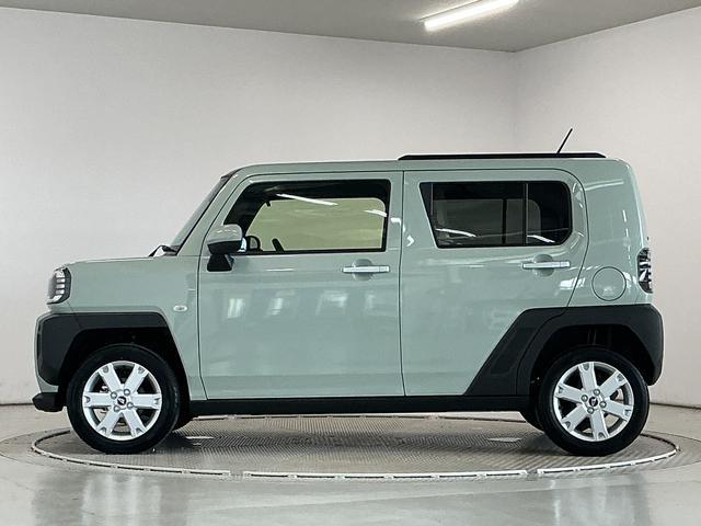 Daihatsu Taft 11