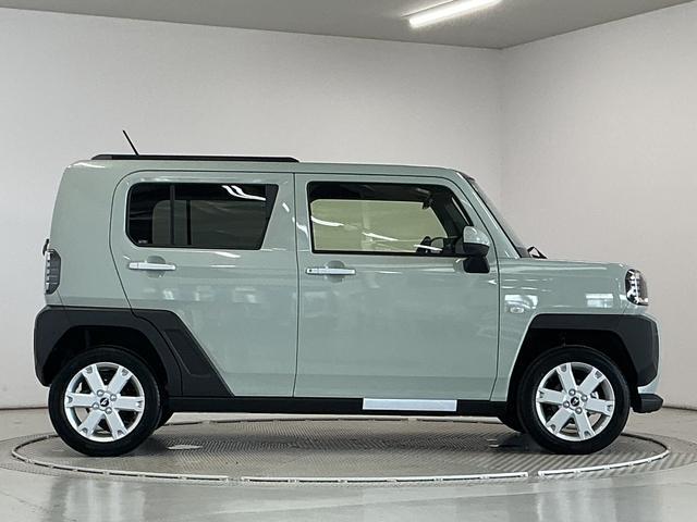 Daihatsu Taft 10