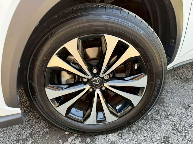 Lexus NX 11