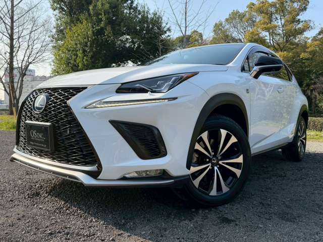 Lexus NX 12