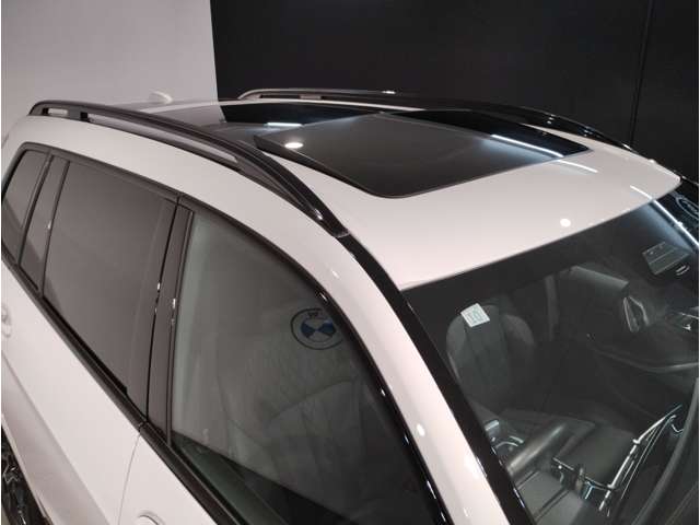 BMW X7 10