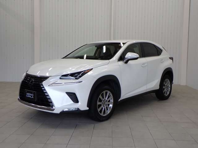 Lexus NX 11