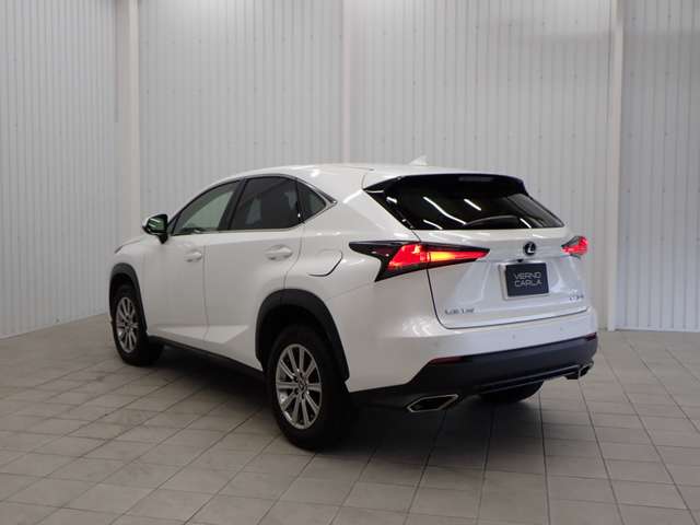 Lexus NX 12