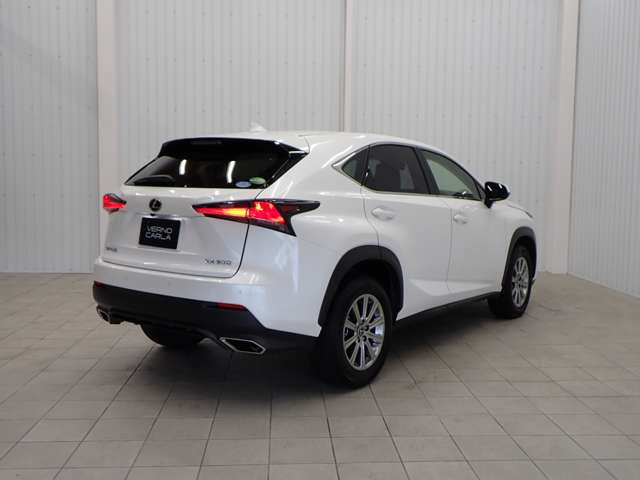 Lexus NX 9