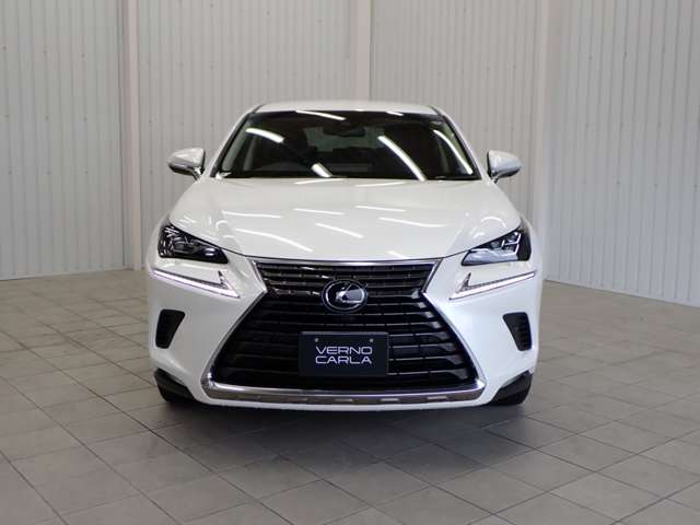 Lexus NX 10