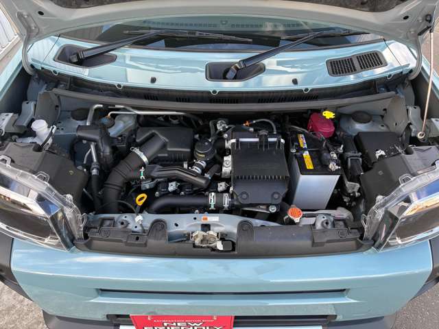 Daihatsu Taft 6