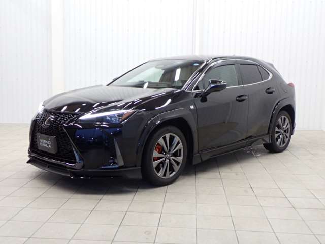 Lexus UX 11