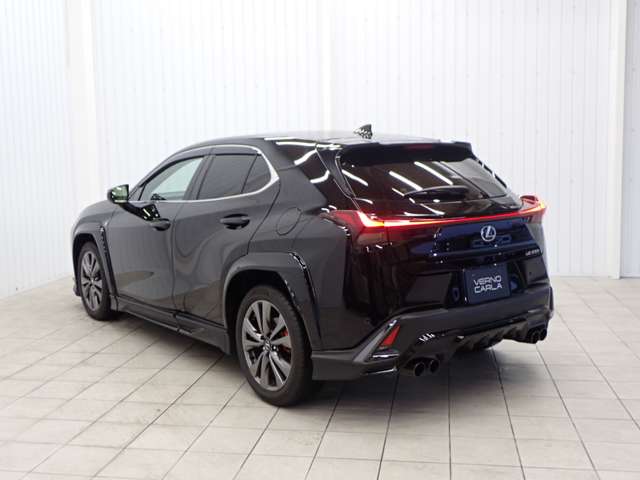 Lexus UX 12