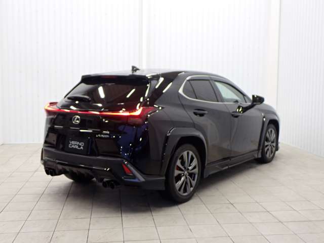 Lexus UX 9
