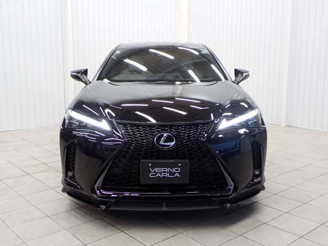 Lexus UX 10
