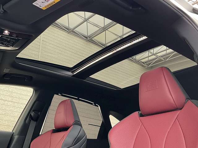 Lexus RX 12