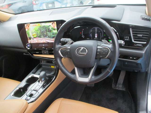 Lexus NX 4
