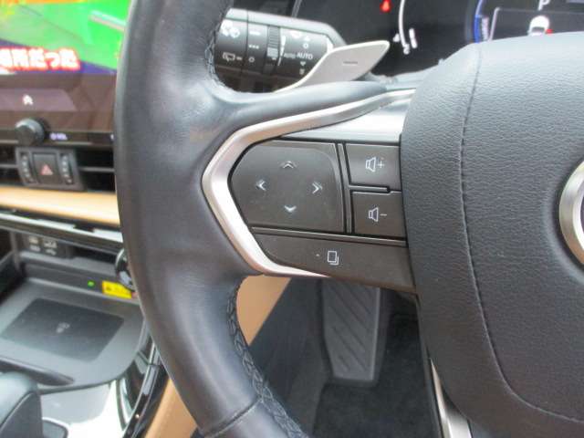 Lexus NX 6